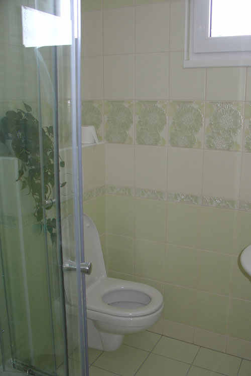 Rekonstrukce koupelny Strunkovice